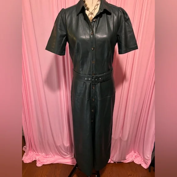 green emerald velvet dress Pinch: More For You Hunter Green Faux Leather Midi Dress – Shop the Mint main image 1